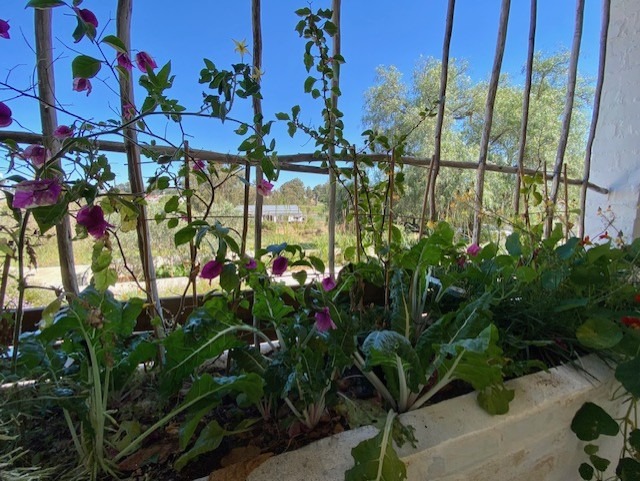 3 Bedroom Property for Sale in Hopefield Western Cape